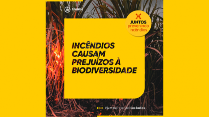 Clealco participa da 4ª edição da Campanha 