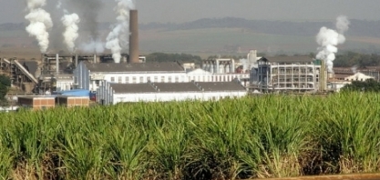 São Martinho registra receita líquida e lucro líquido históricos na safra 2023/24