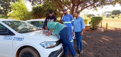Colaboradores da Alcoolvale são treinados para identificar moscas-do-estábulo