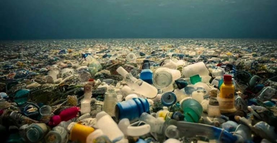 Um milhão de animais marinhos morrem todo ano por causa do plástico. Divulgação/Avantium