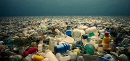 Biotech vai escalar bioplástico de trigo, milho, beterraba e cana