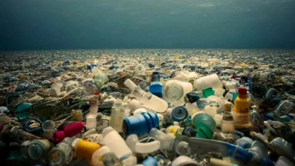 Biotech vai escalar bioplástico de trigo, milho, beterraba e cana