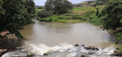 Preservação ambiental e sustentabilidade: o compromisso do setor sucroenergético de Alagoas