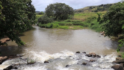 Preservação ambiental e sustentabilidade: o compromisso do setor sucroenergético de Alagoas