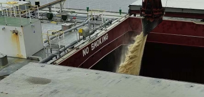 Quebra na safra de cana deve ter pouco impacto na exportação de açúcar