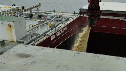 Quebra na safra de cana deve ter pouco impacto na exportação de açúcar