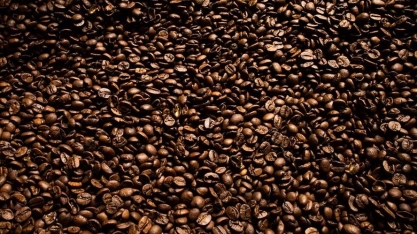 Contratos agrícolas operam em queda em Nova York, com exceção do açúcar