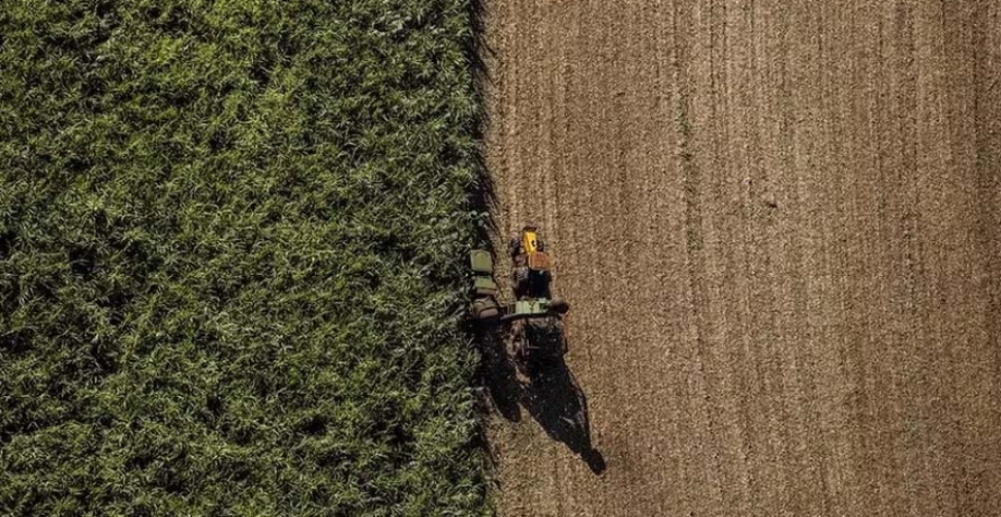 Quadro de seca que afeta os canaviais do Centro-Sul deve perdurar até agosto, segundo analista — Foto: Sergio Ranalli/Ed. Globo