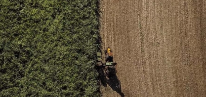 Açúcar sobe 4,57% em Nova York com risco de geada em canaviais do Brasil