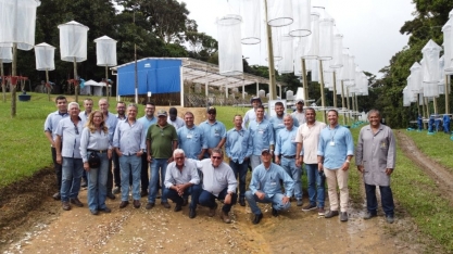 Colaboradores da Usina Caeté visitam estação de melhoramento genético da Ridesa