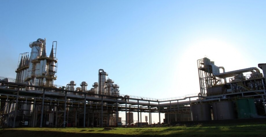 Setor sucroenergético investirá R$ 4,3 bilhões nos próximos anos - Divulgação/Biosul