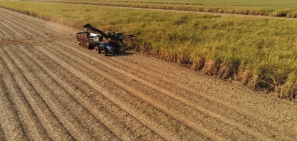 Tereos anuncia resultados financeiros recordes na última safra e avança em agenda sustentável com metas de descarbonização