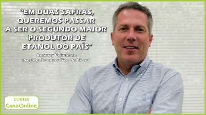 Mato Grosso do Sul pode se tornar segundo maior produtor de etanol do país em duas safras