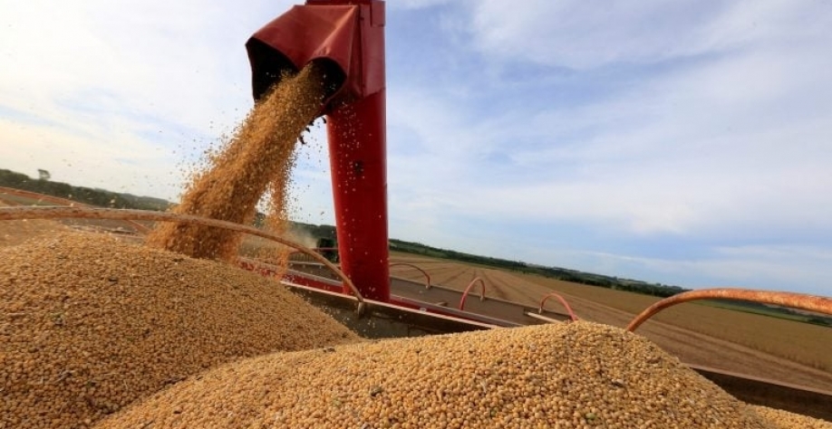 Carregamento de soja - Foto: REUTERS/Jorge Adorno