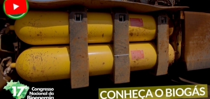 Biogás: descubra o potencial do Brasil