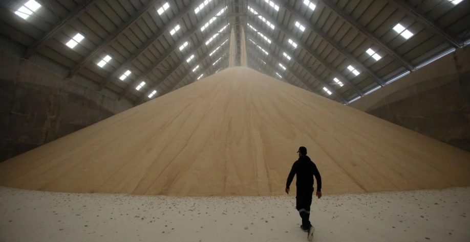 Ritmo acelerado da colheita de café no Brasil, maior produtor, estava pressionando o mercado; veja o fechamento do milho, açúcar e soja (Foto: Reuters/Khalid al-Mousily)