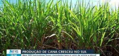Produção de cana cresce no Sul do ES: mais de 300 funcionários foram contratados em usina
