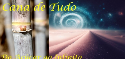 Livro “Cana de Tudo: do Açúcar ao Infinito” será lançado em 14 de agosto na 30ª Fenasucro & Agrocana