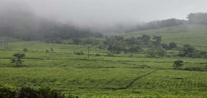 La Niña no Brasil deve ser menos chuvoso na safra 2024/25; saiba o que esperar