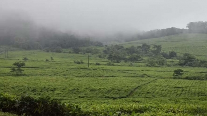 La Niña no Brasil deve ser menos chuvoso na safra 2024/25; saiba o que esperar