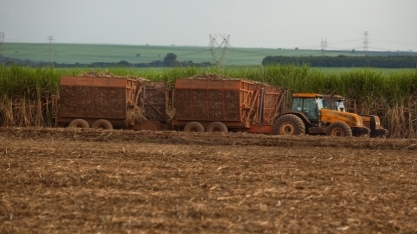 Indústria de alimentos anuncia R$ 120 bi em investimentos até 2026