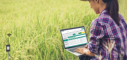 Agricultura de Precisão: O Papel das Estações Meteorológicas e Tecnologias Avançadas