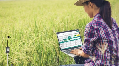 Agricultura de Precisão: O Papel das Estações Meteorológicas e Tecnologias Avançadas