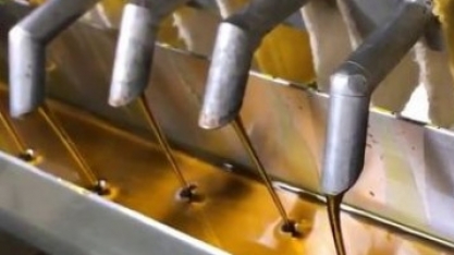 Óleos vegetais atingem maior nível de preços em mais de um ano, FAO