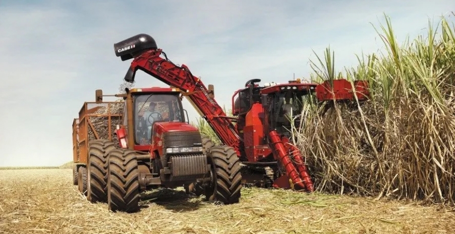 Colheita de cana em lavoura da companhia — Foto: Divulgação