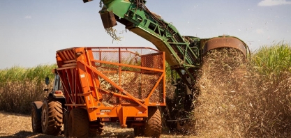 Minas Gerais eleva produção de cana-de-açúcar na safra de junho