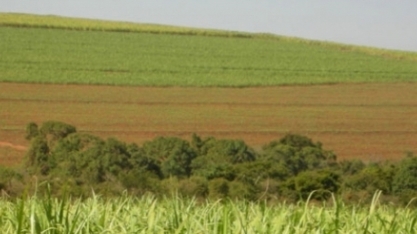 Preço dos CBios tem queda de 5,8% no começo de julho, para R$ 75,95