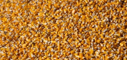 Comissão do Senado aprova isenção de PIS/Cofins a farelo e óleo de milho