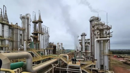 Seca ajuda colheita da cana e moagem é de 48 milhões de toneladas no Centro-Sul