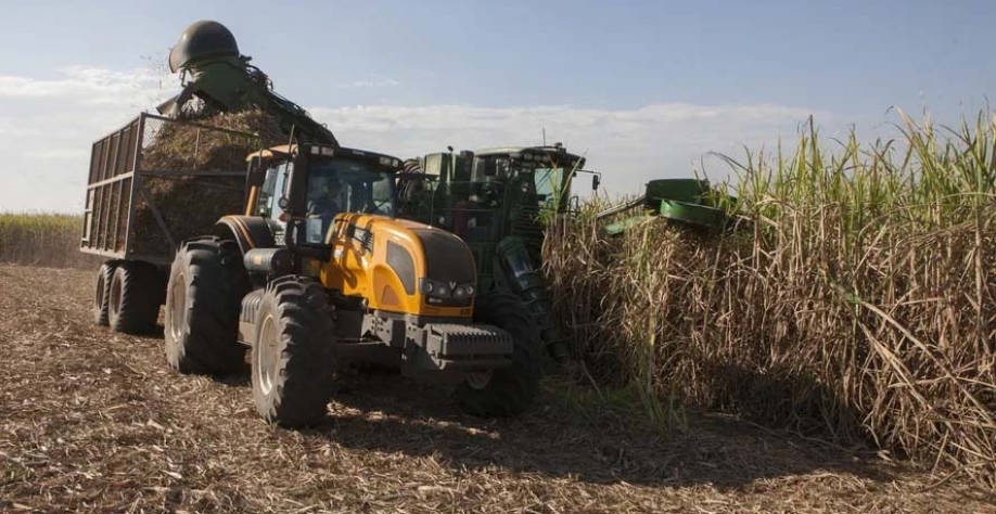 Há rumores de que possa ocorrer quebra de safra na atual temporada de cana-de-açúcar — Foto: Marcelo Min