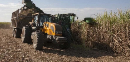 Preço do etanol sobe em julho, enquanto açúcar permanece estável