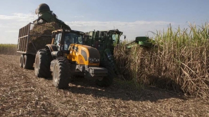 Preço do etanol sobe em julho, enquanto açúcar permanece estável