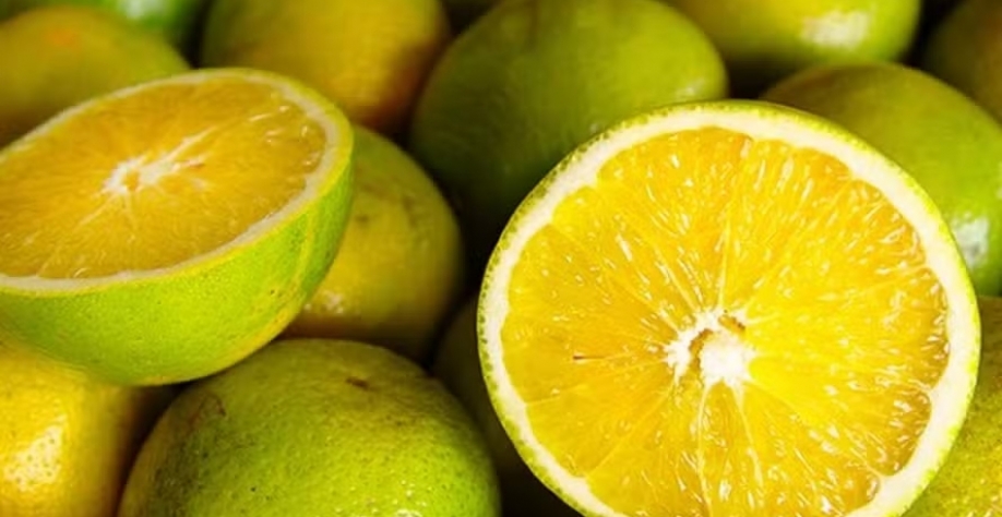 A laranja pera acumulou uma alta de 1,31% de 22 a 25 de julho — Foto: Ceagesp / Divulgação