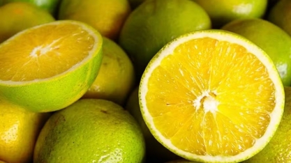 Laranja tem nova alta de preços e acumula série recorde de cotações