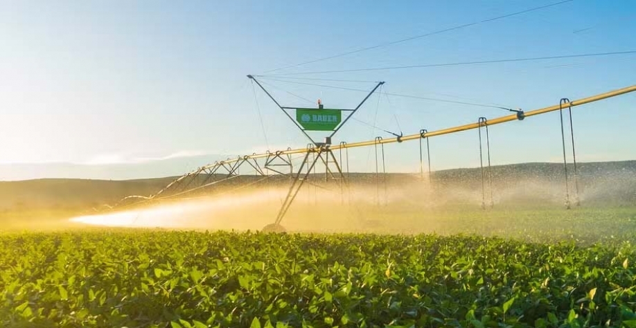 Margem do produtor caiu 30% na última safra. Ele não tem capital próprio e terá dificuldade no mercado privado para buscar esse crédito, diz CNA — Foto: Bauer do Brasil/Divulgação