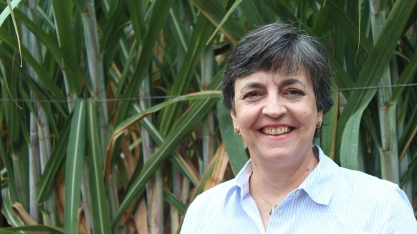 Leila Luci Dinardo-Miranda está no livro “Cana de Tudo: do Açúcar ao Infinito”
