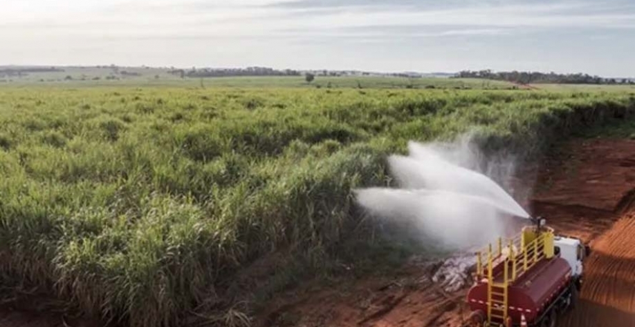 Os números de produção de cana no Centro-Sul do Brasil são os maiores até o momento, se comparados a 2023 — Foto: BP Bunge Bioenergia/Divulgação