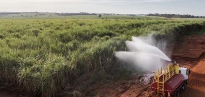 Oferta brasileira pressiona preços do açúcar