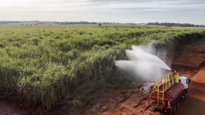 Oferta brasileira pressiona preços do açúcar