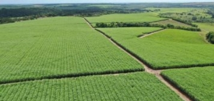 Usinas da Paraíba alcançam segunda posição na produção de etanol do Nordeste
