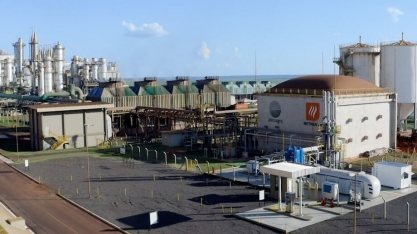 MS exportará tecnologia que pode revolucionar a produção de bioenergia