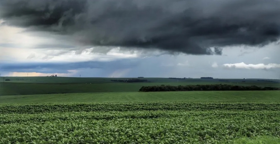 Lavoura de soja. Próximos meses devem ser de neutralidade climática: nem El Niño, nem La Niña — Foto: José Fernando Ogura/Arquivo AEN