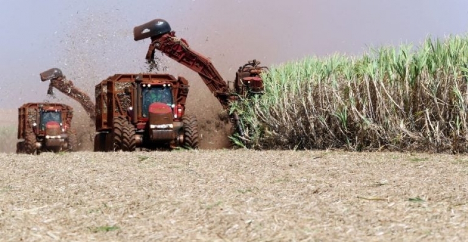 Colheitadeiras corta cana-de-açúcar em Pradópolis. Reuters