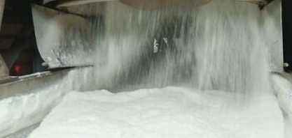 Colheita da cana-de-açúcar em Goiás é segunda maior do Brasil