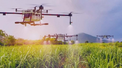 Inteligência Artificial no agronegócio: inovação na Raízen