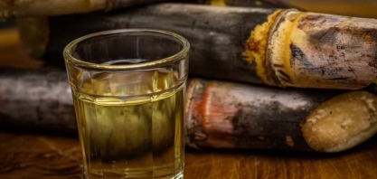 Produção de cachaça é dominada por agricultores familiares em MG